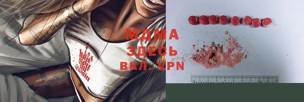 сатива Беломорск