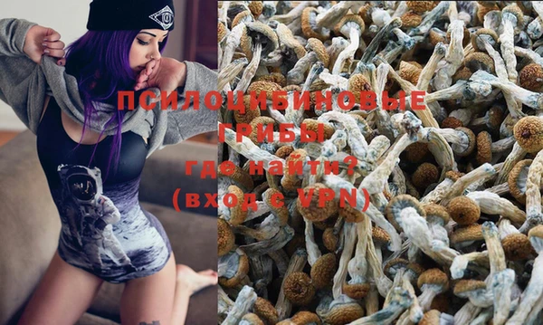 эйфоретик Сосновка