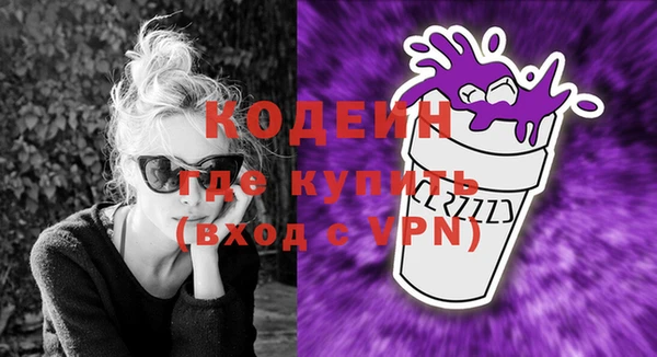 дживик Сосновый Бор